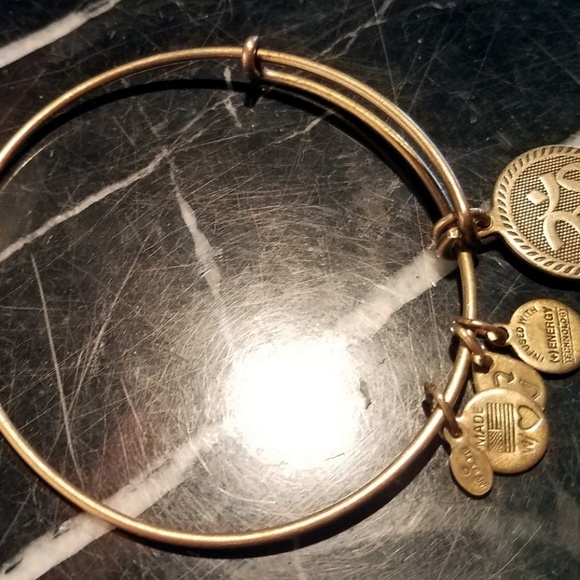 Alex And Ani OM Charm Bangle Bracelet Rafaelian Ru - Picture 2 of 8